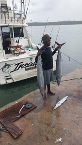 Private charters, big-time fishing! 